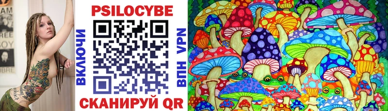 наркотики  Сычёвка  KRAKEN ссылки  Галлюциногенные грибы Cubensis 